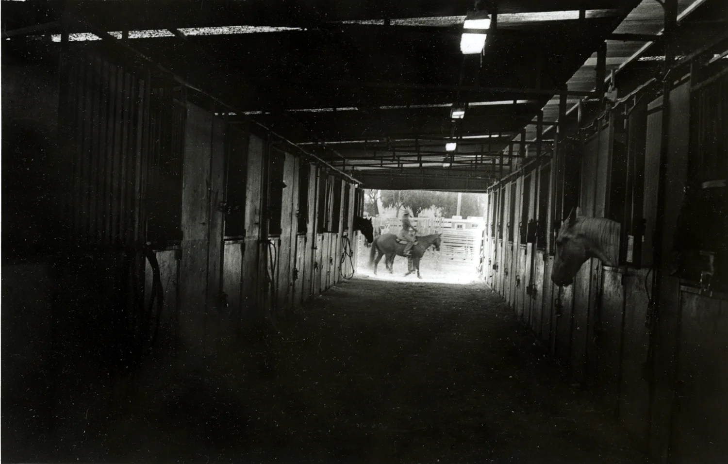 Barn, Salinas