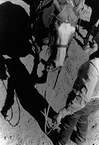 Cowboyholding horseSQuare.jpg