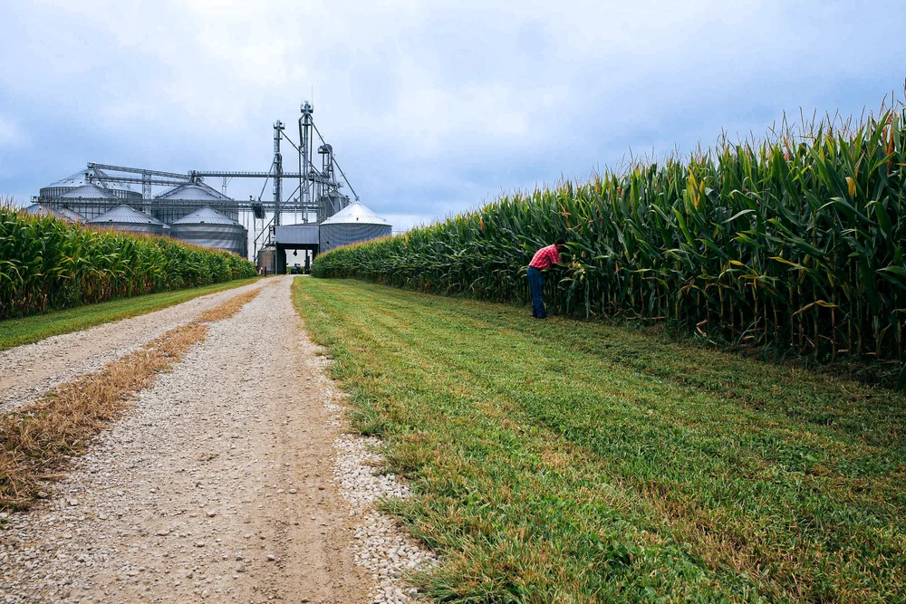 Black Hawk Farms American Wagyu Beef