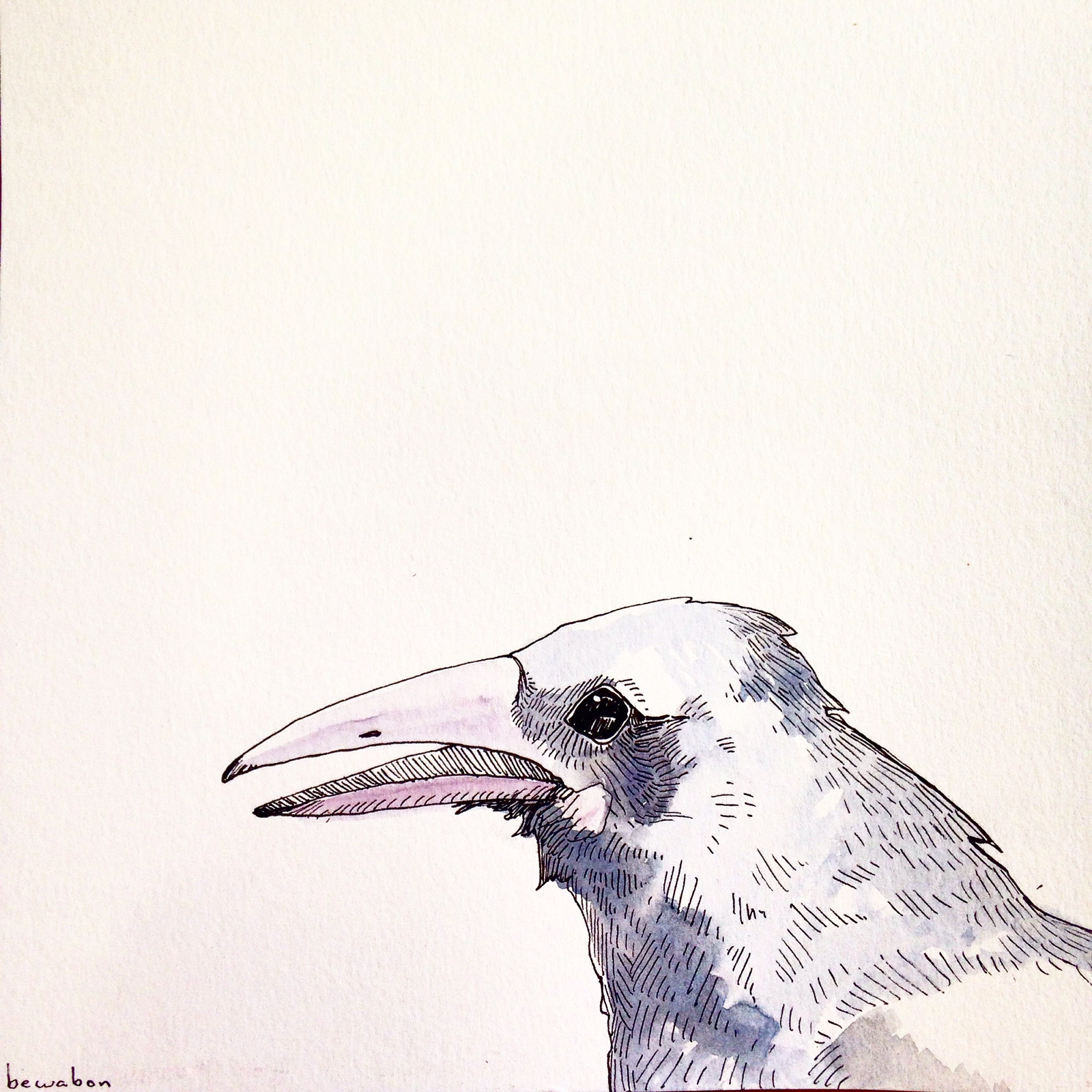 Crow