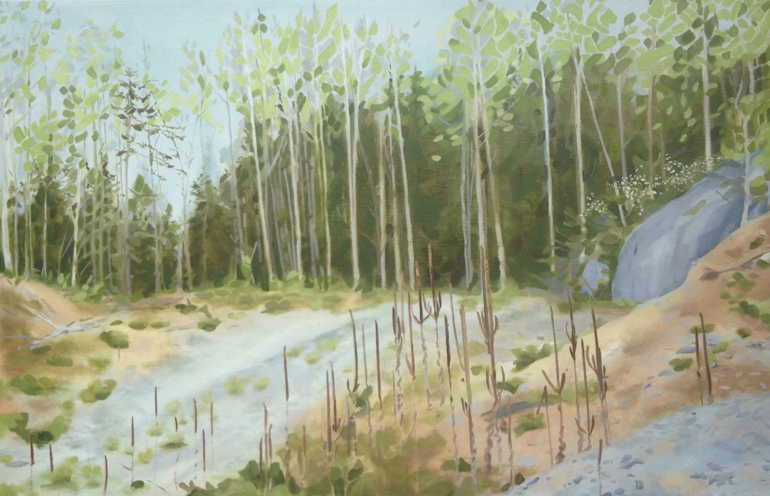 Logging Road
