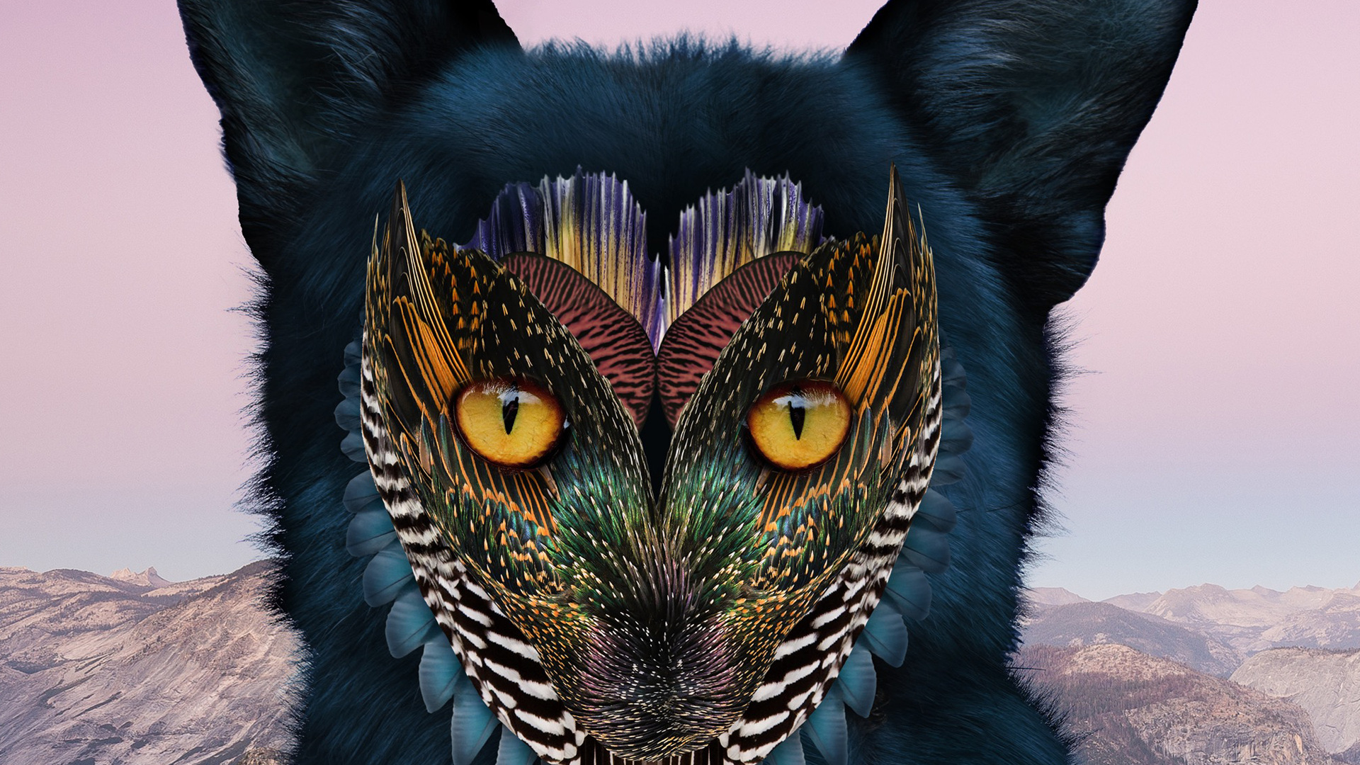 Galantis_TF_Thumbnail.png