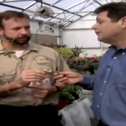 Screen Shot 2016-02-18 at 6.06.24 PM.png