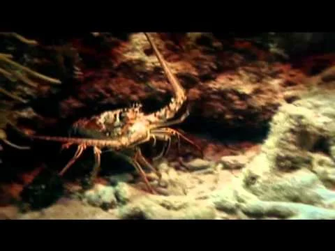 TFA7946 Be Very Afraid