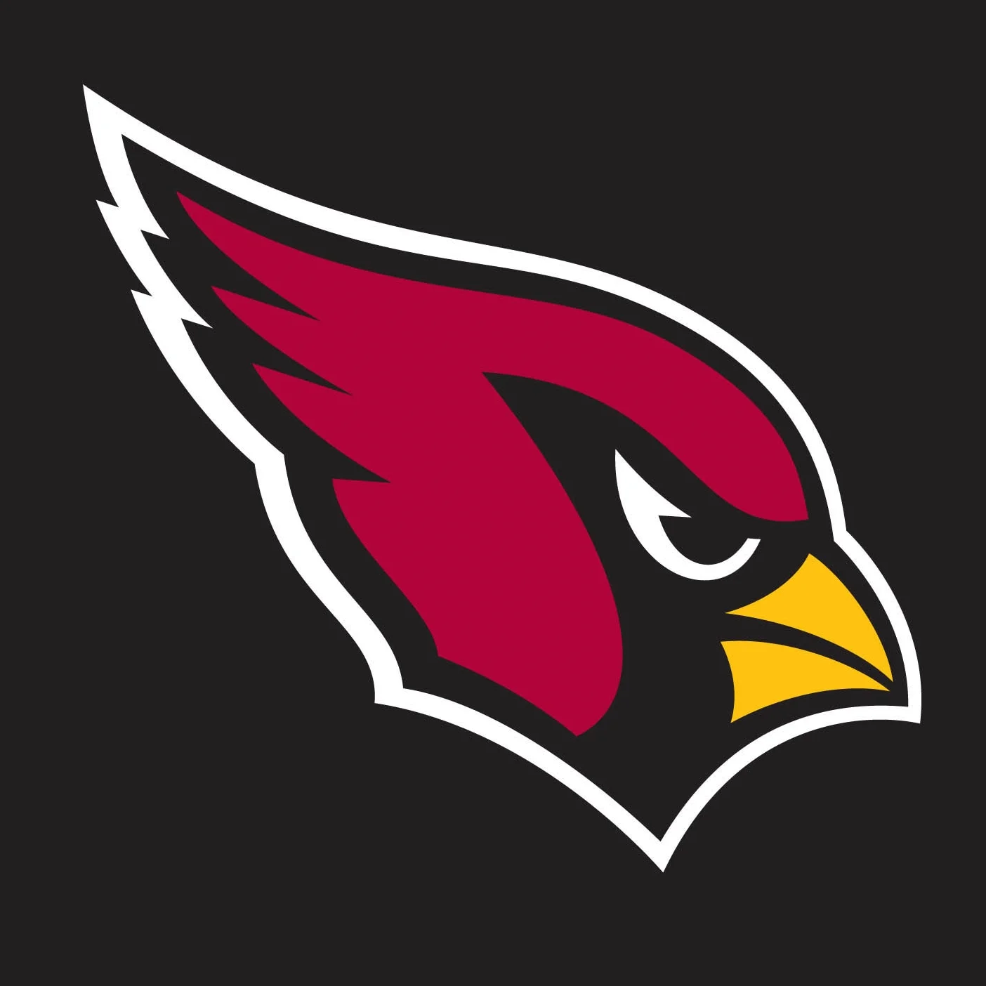 NFL%5CFMP035.1.jpg