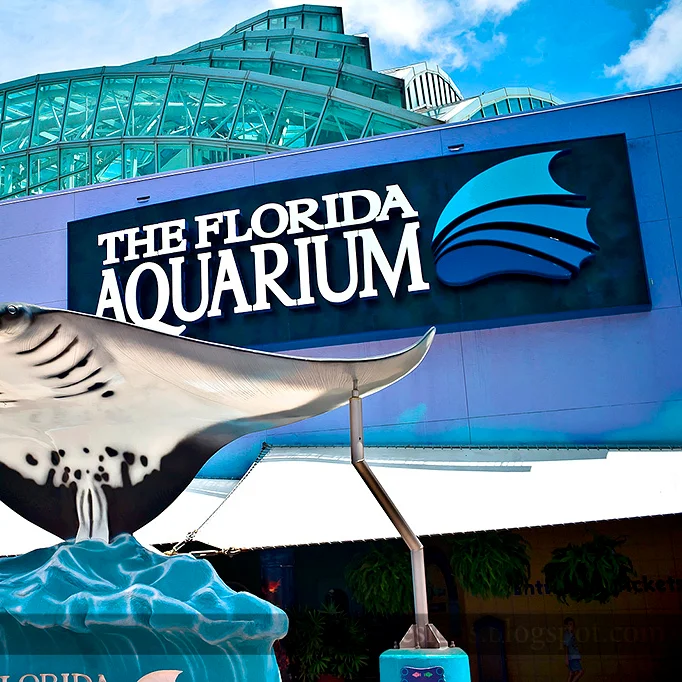 tampa-florida-aquarium.jpg