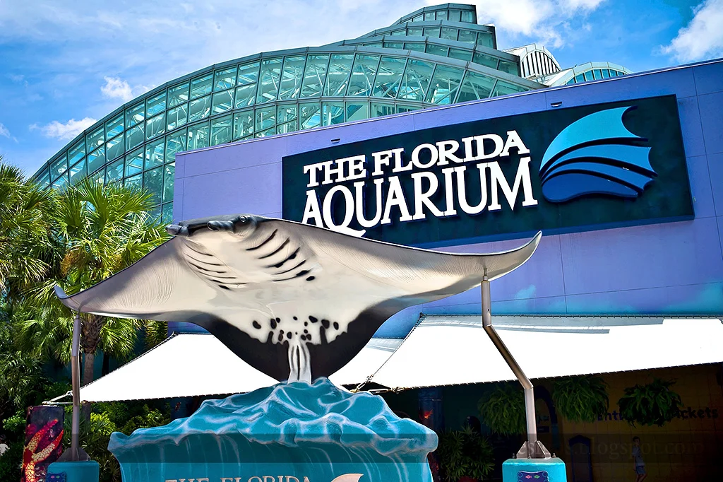 tampa-florida-aquarium.jpg