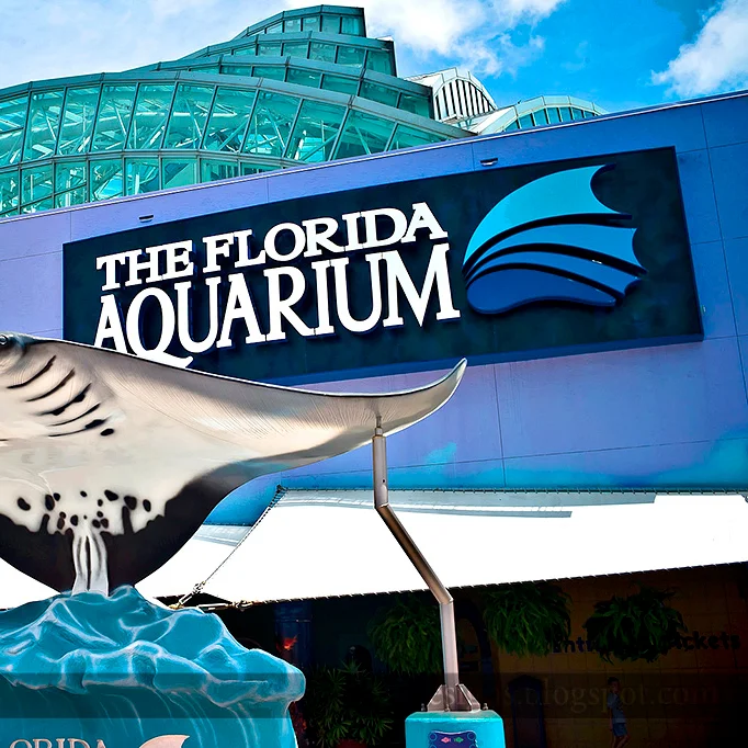 tampa-florida-aquarium.jpg