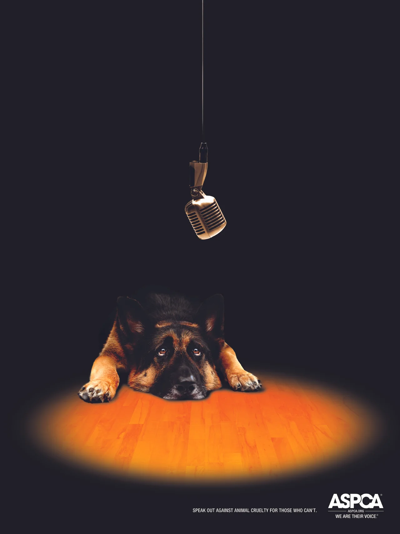 ASPCA_Speechless_3of3.jpg