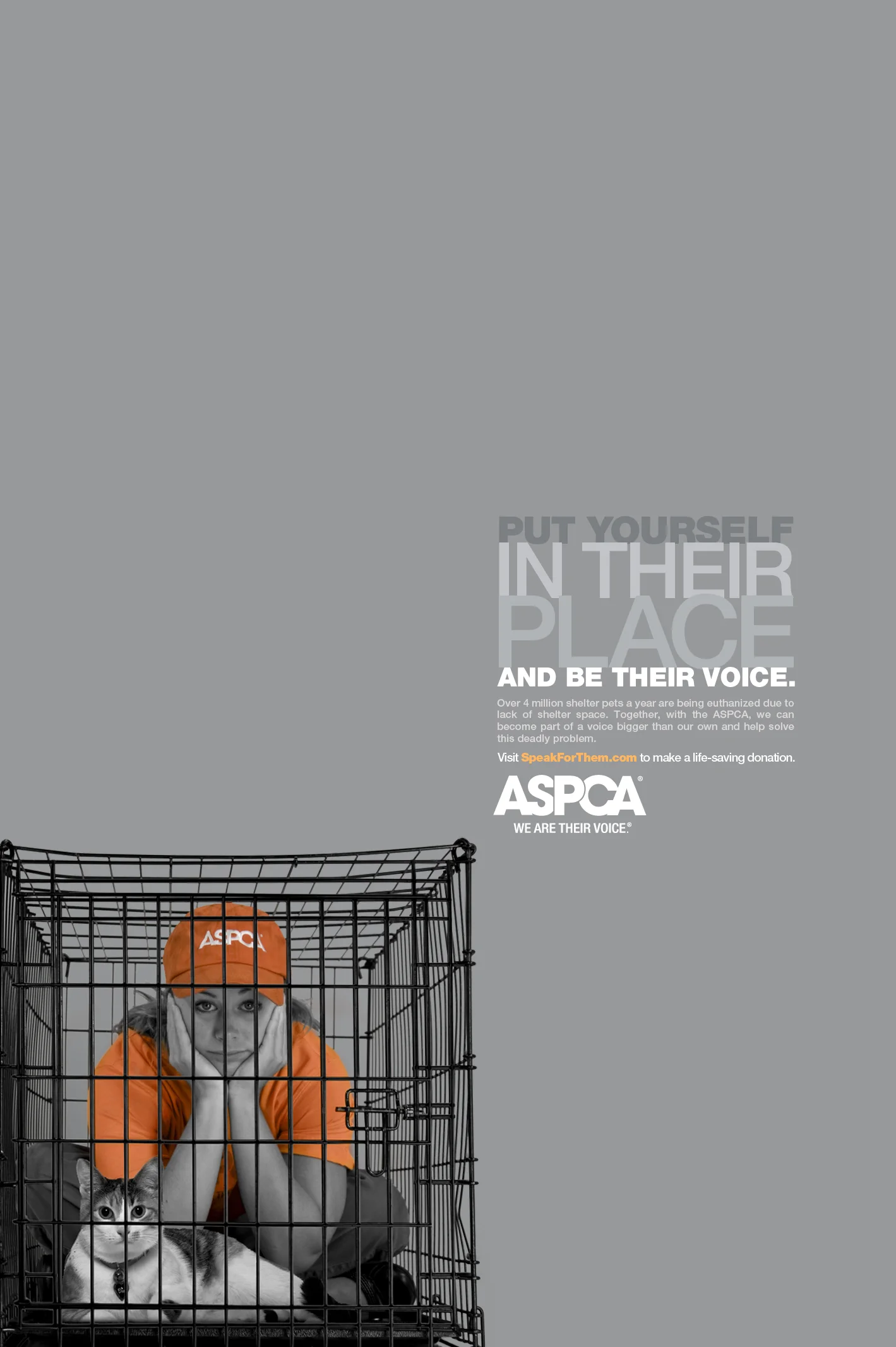 ITP print w animals.jpg