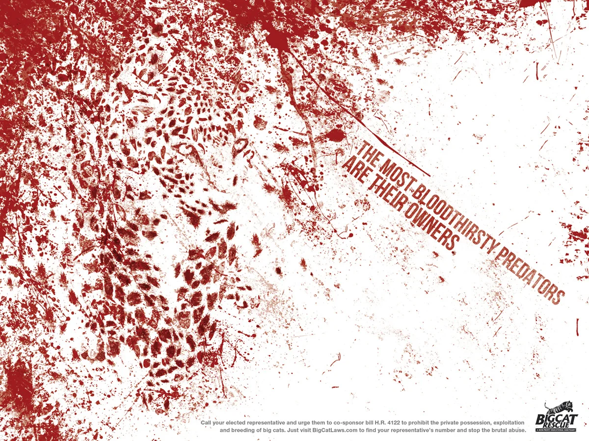 Bloody-Leopard.jpg