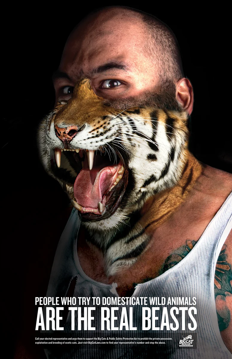 The Real Beasts.jpg