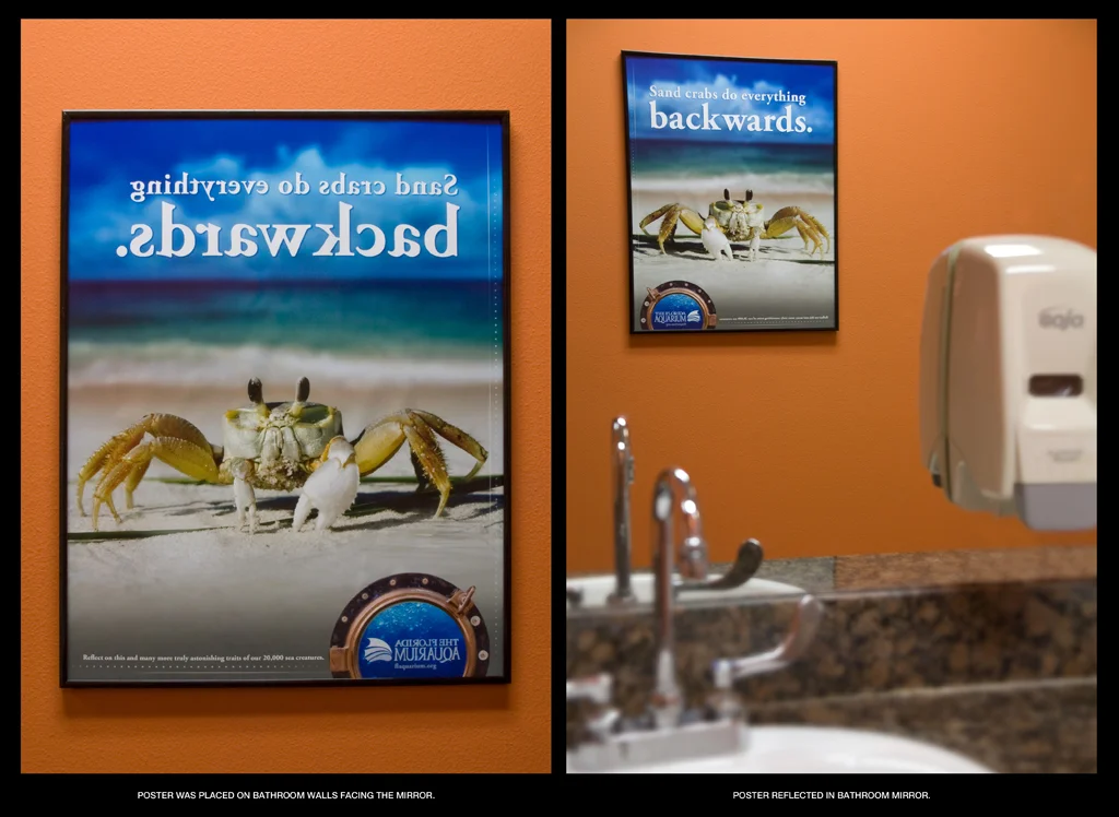 BACKWARDS SAND CRAB MIRROR POSTER.jpg
