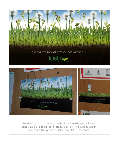 Lush-landscaping.jpg