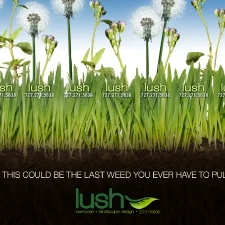 Lush-landscaping.jpg