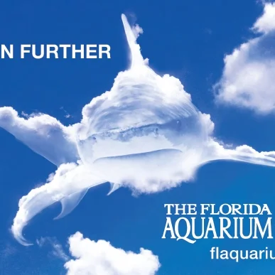 TFA Cloud Shark OOH-2.jpg
