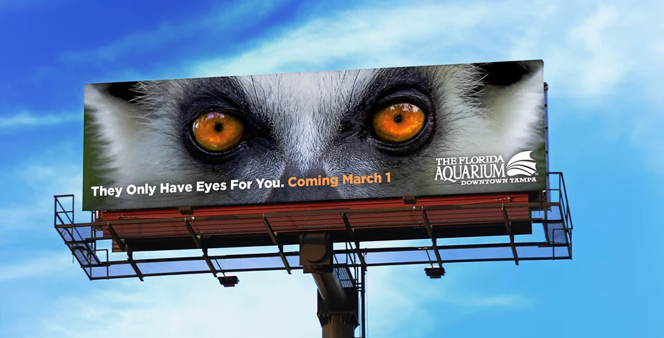 Lemur Eyes Teaser Bilboard - 2.jpg