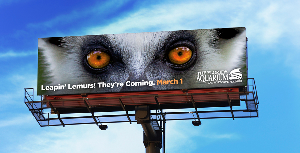 Lemur Eyes Teaser Bilboard - 4.jpg