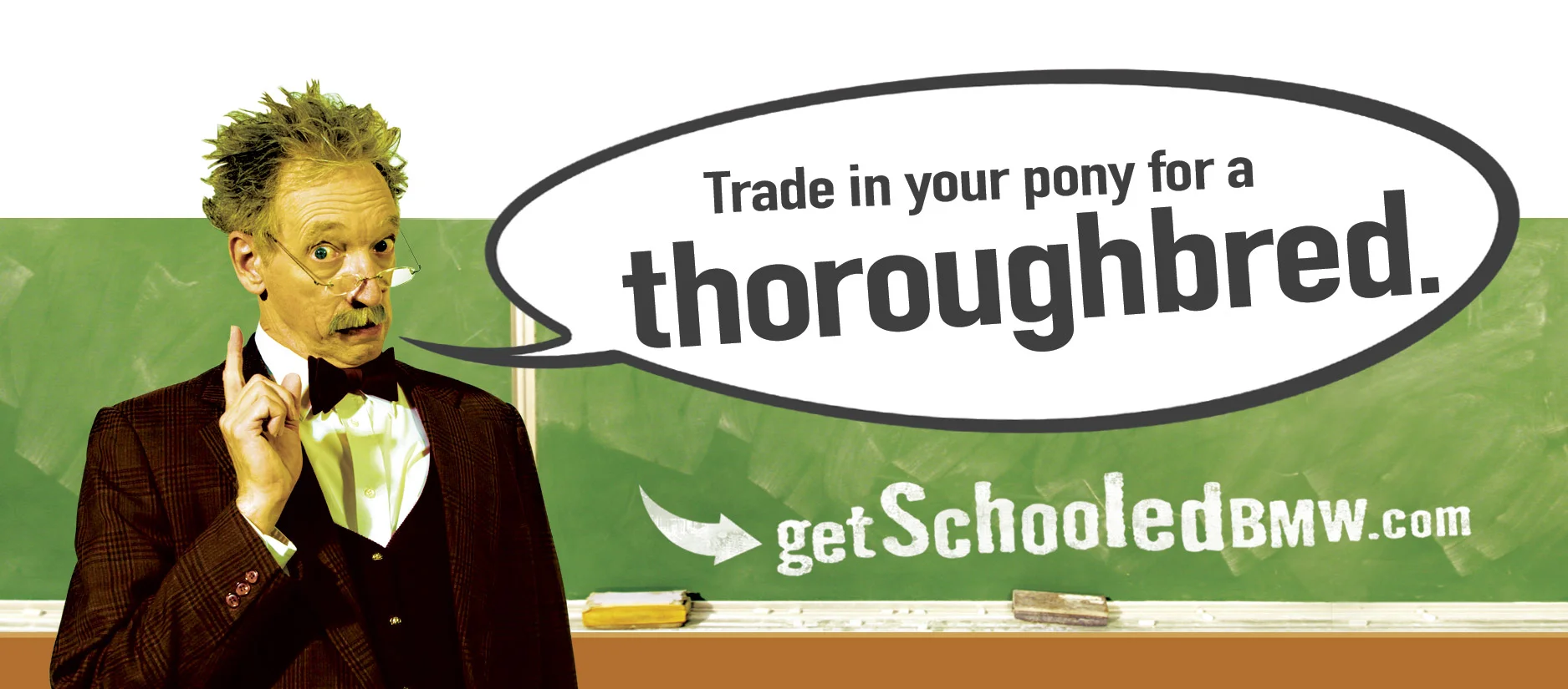 thoroughbred.jpg