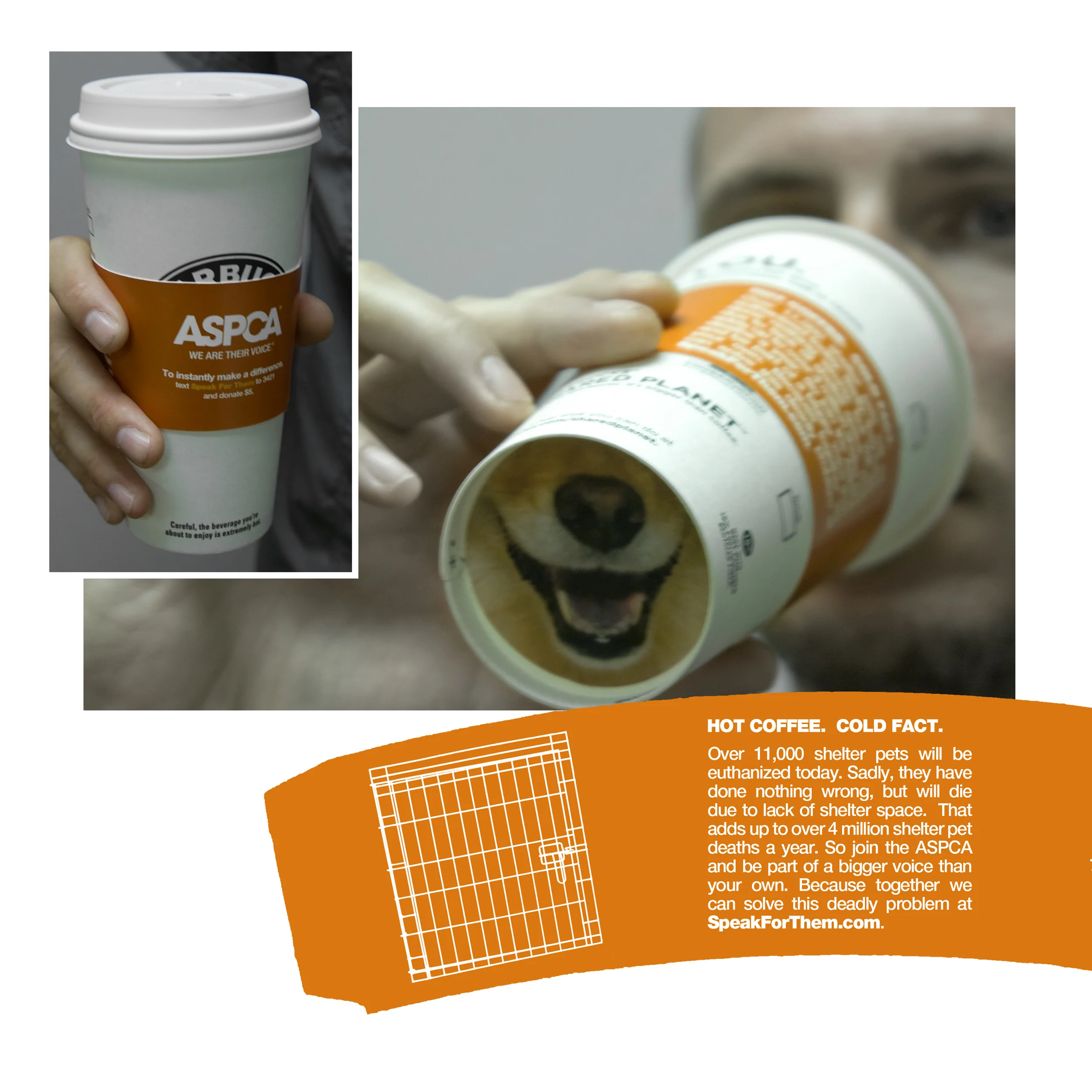 ITP coffee cup 2.jpg