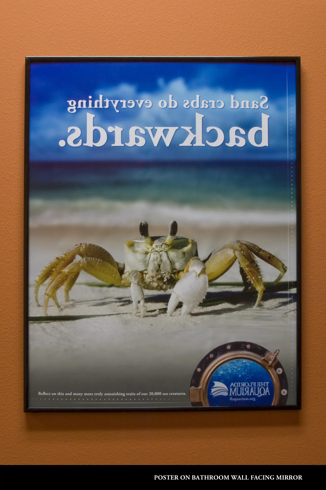 sand crab mirror 1.jpg