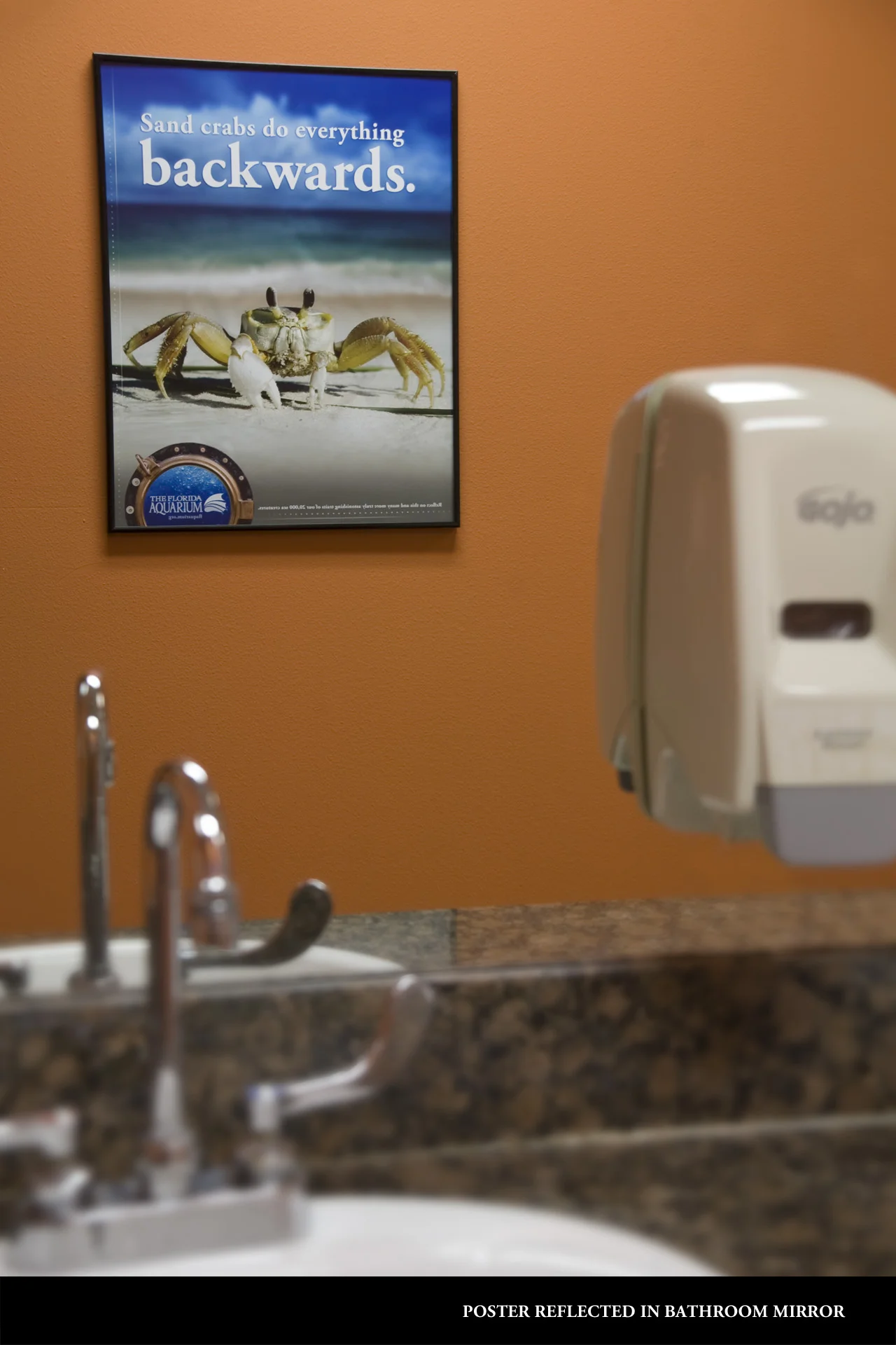 sand crab mirror 2.jpg
