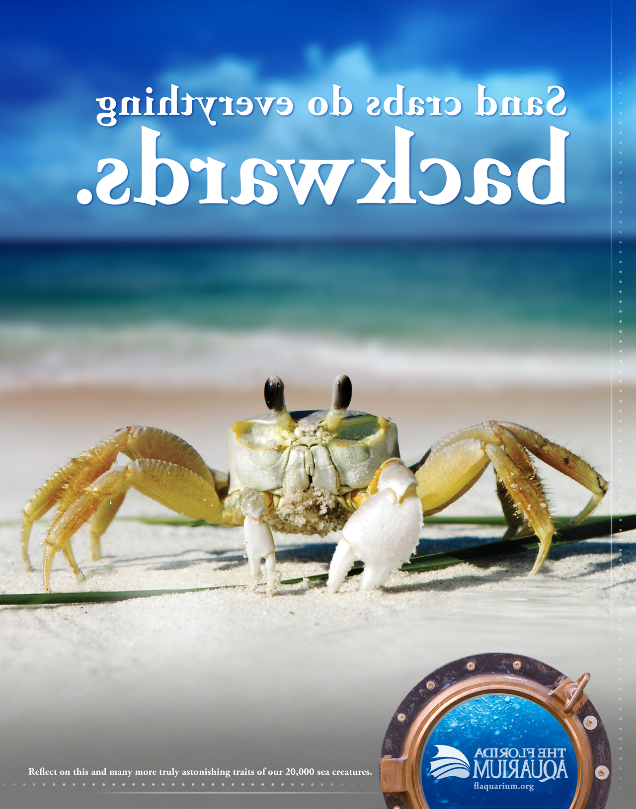 Crab Poster.jpg