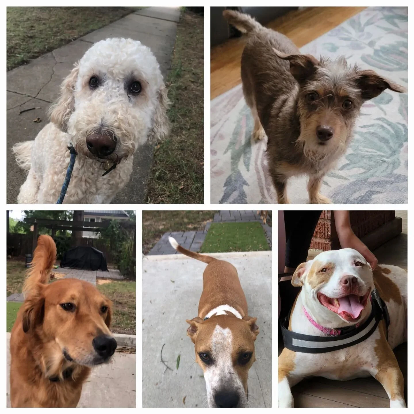 Friday is for friends.