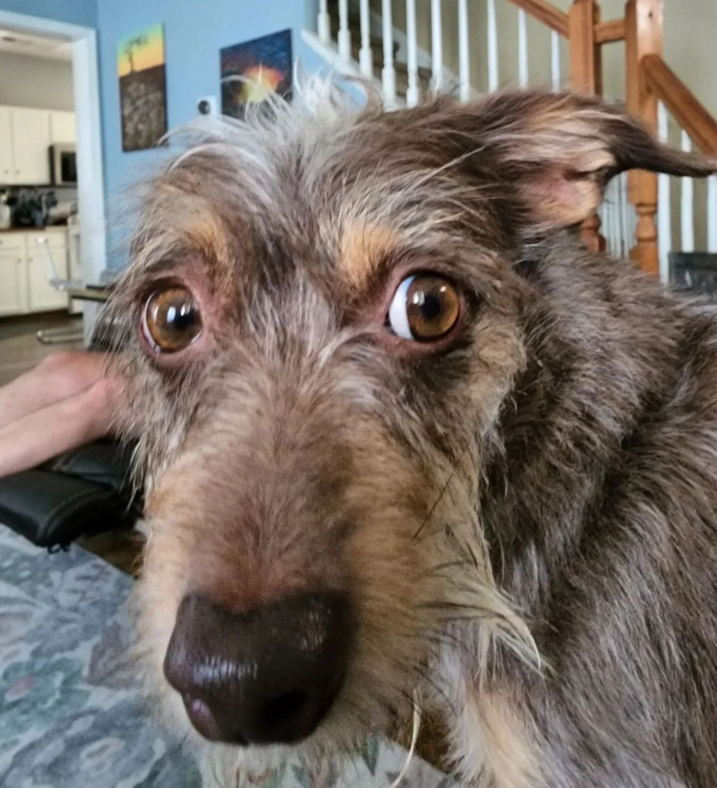 &quot;is this too close?&quot;