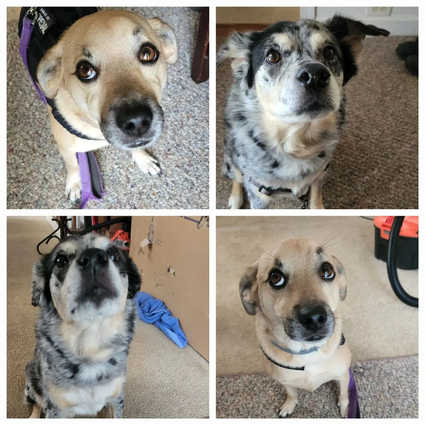 2 days of oh so cute