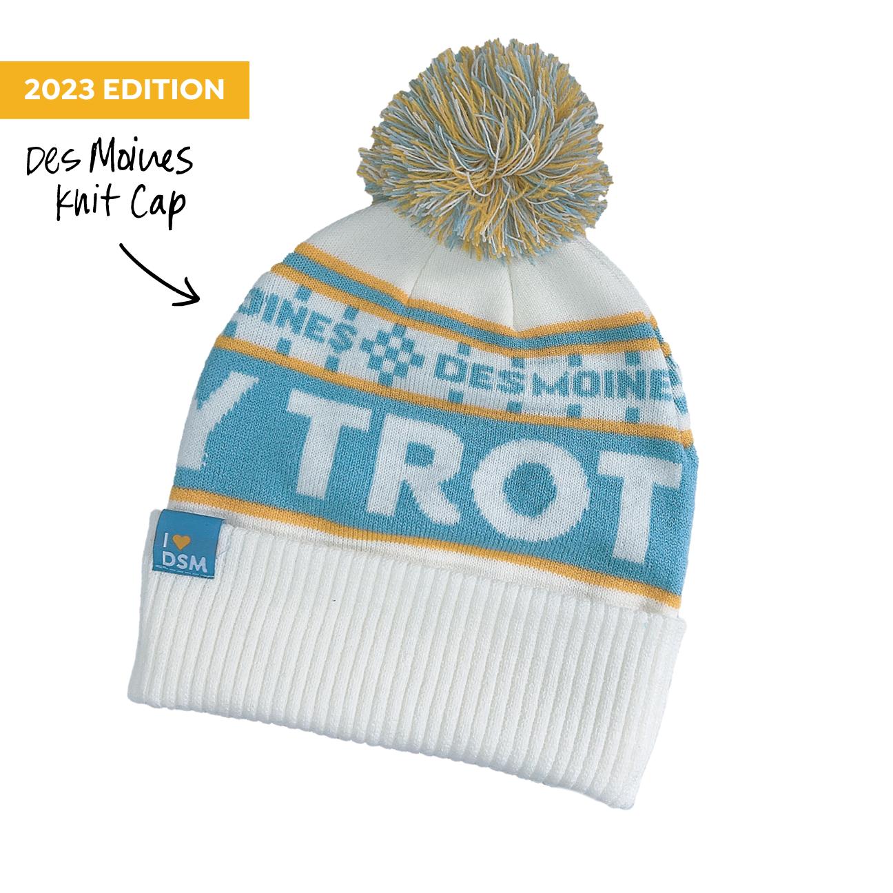 TT23_knitcap.png