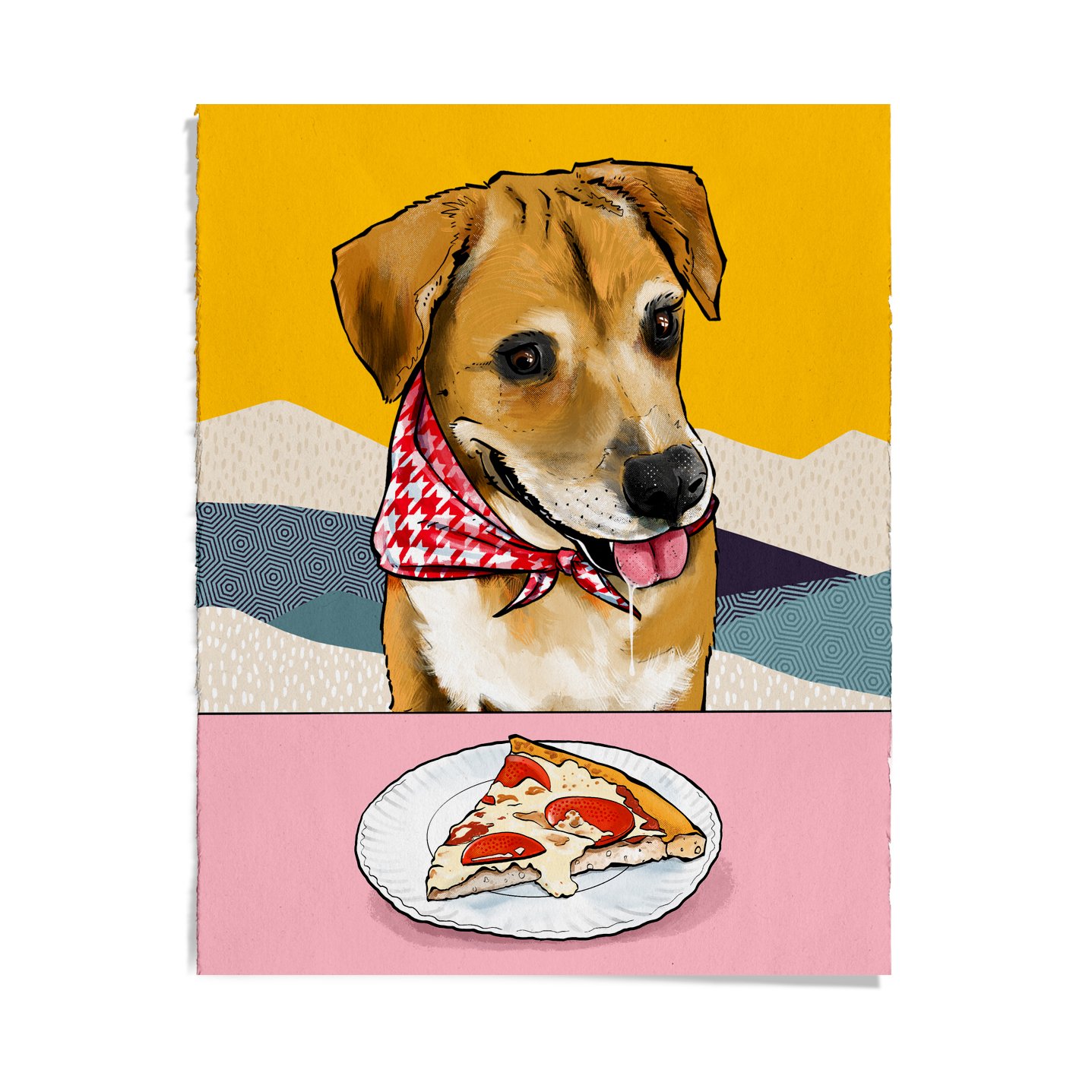 COMMS-PET-1.jpg