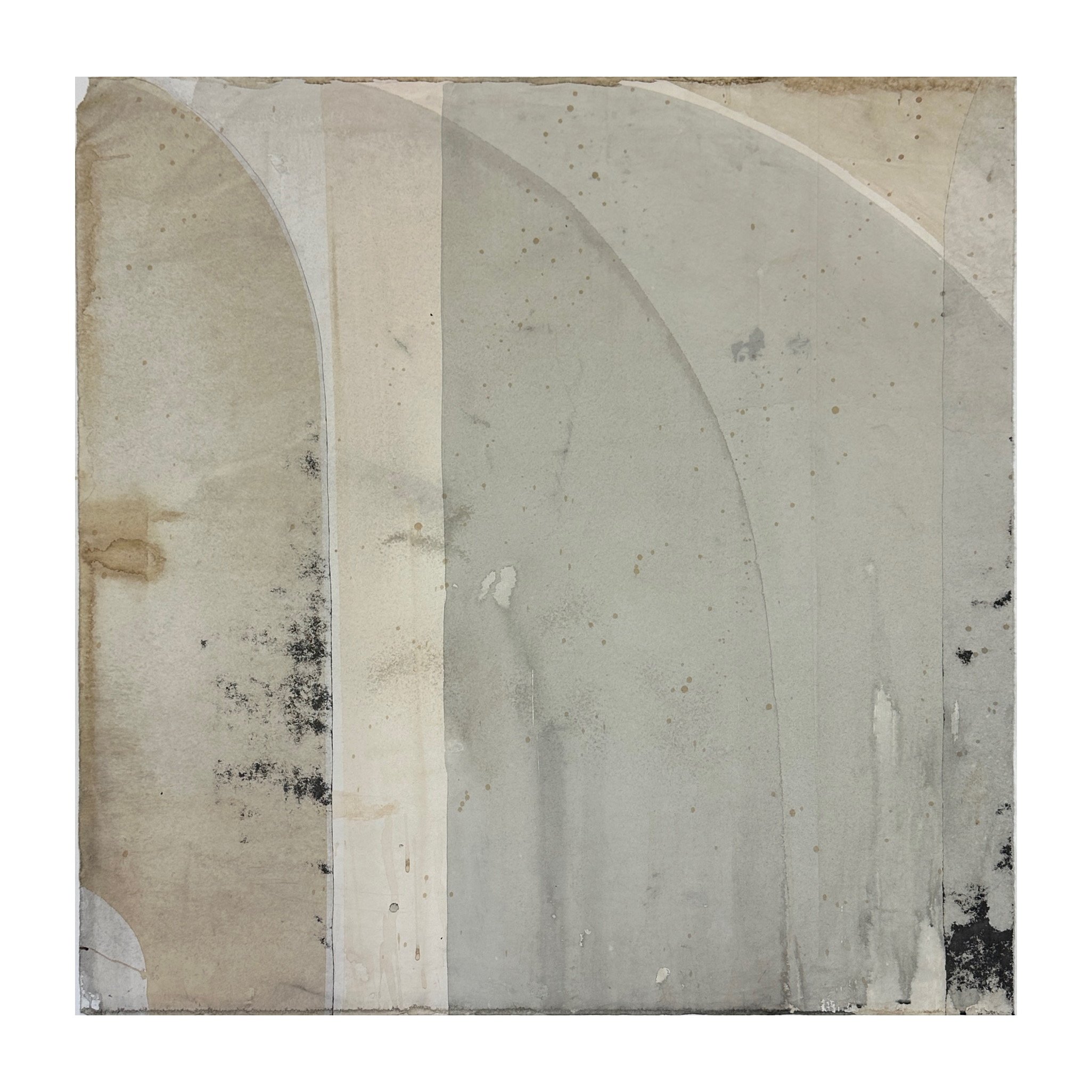 Whitagram-Image.jpeg