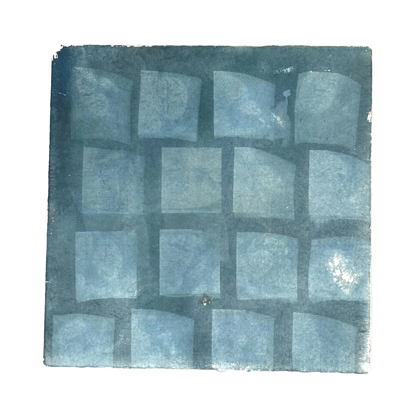 Whitagram-Image.jpeg