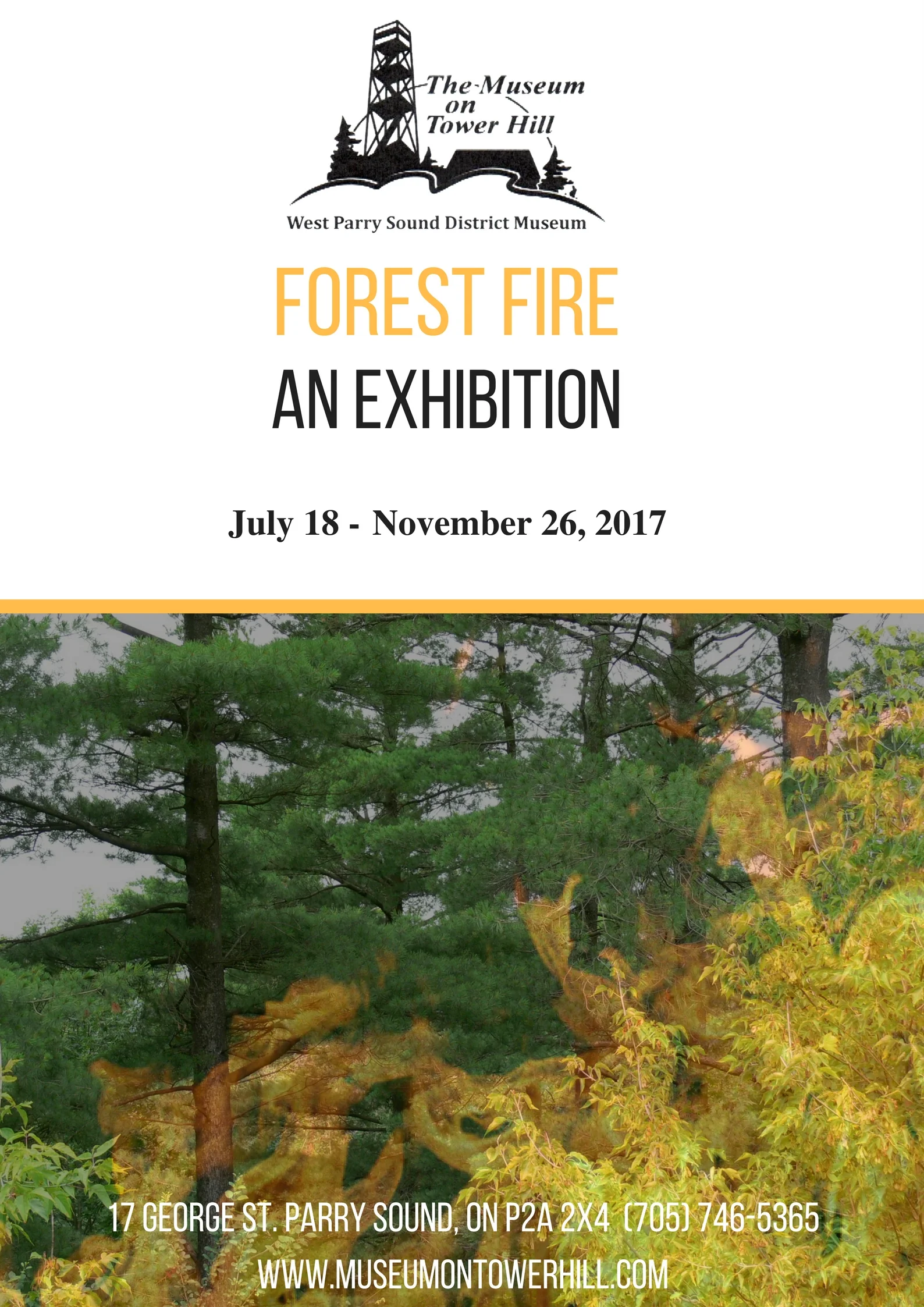 Forest Fire.jpg