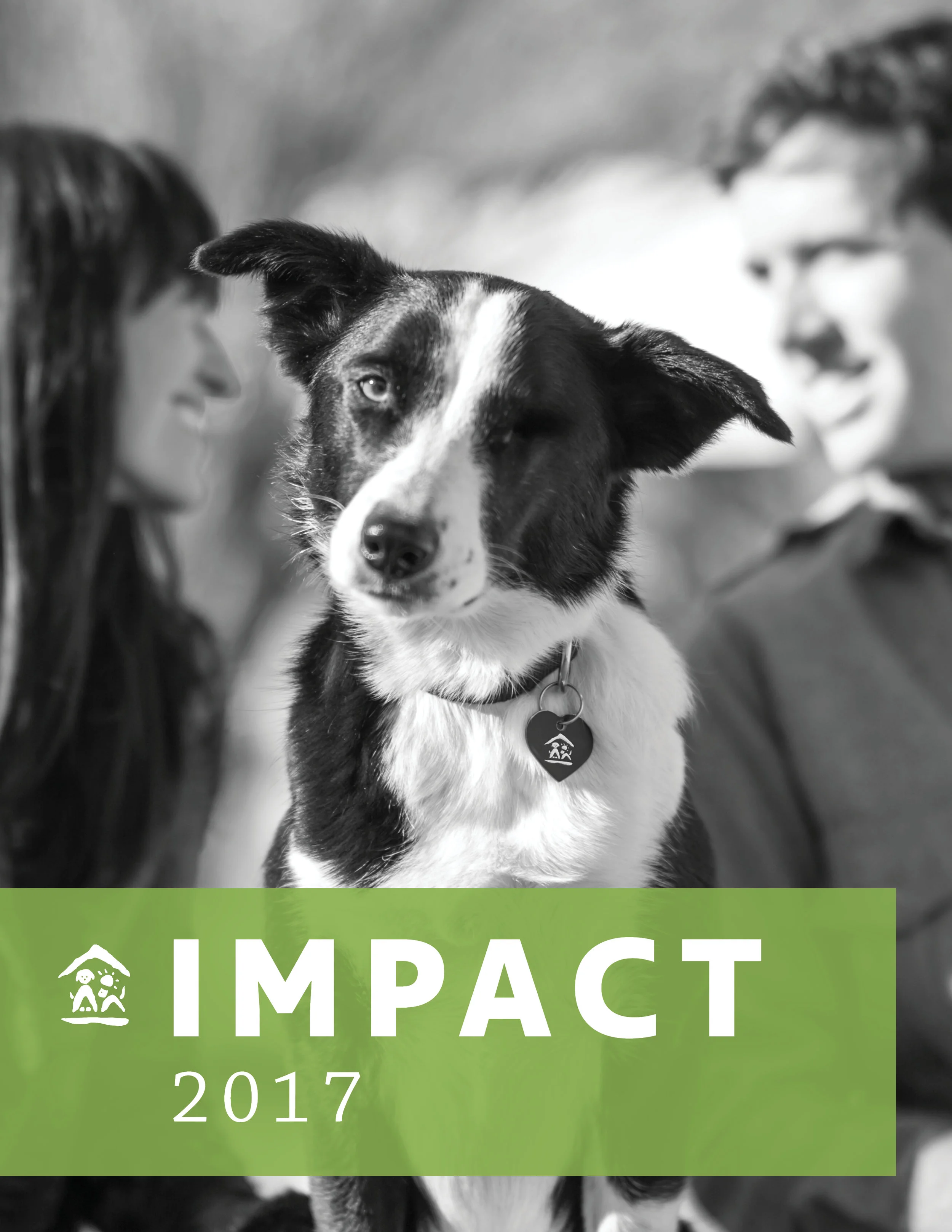 Animal Shelter 2017 Impact Report