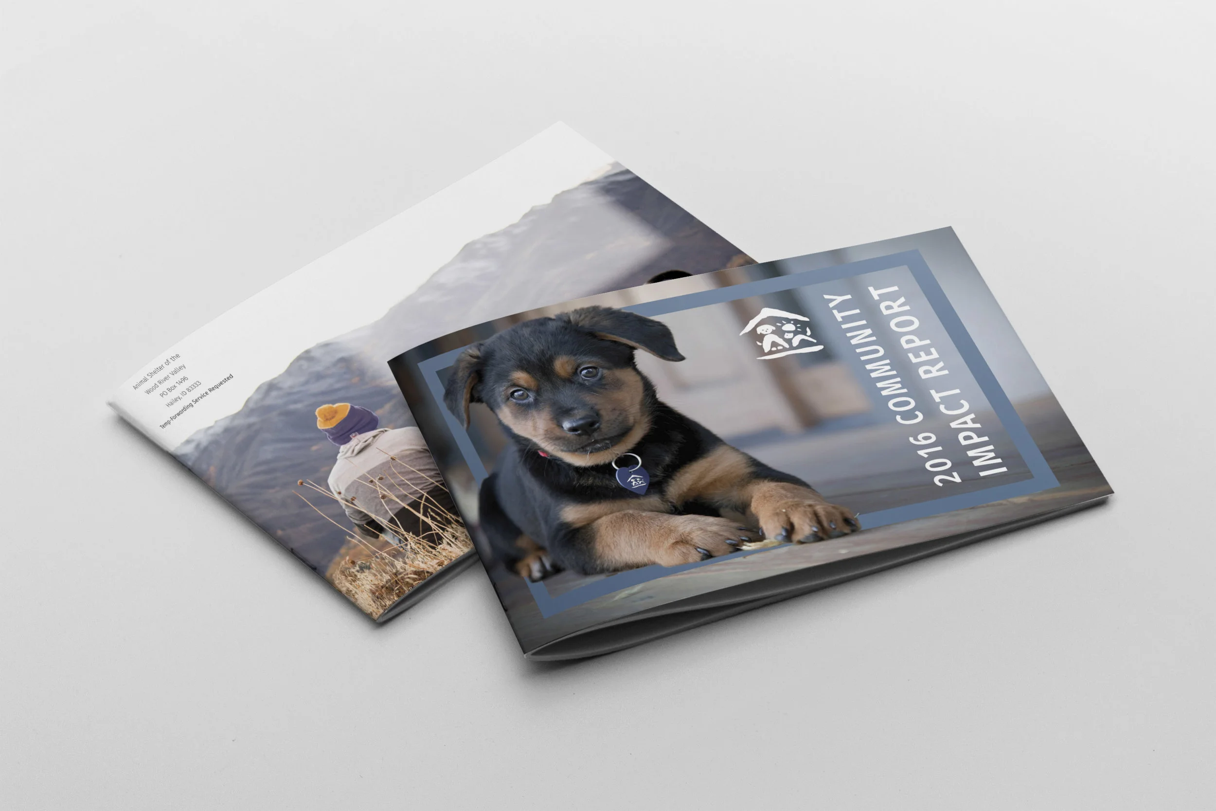 Animal Shelter 2016 Impact Report