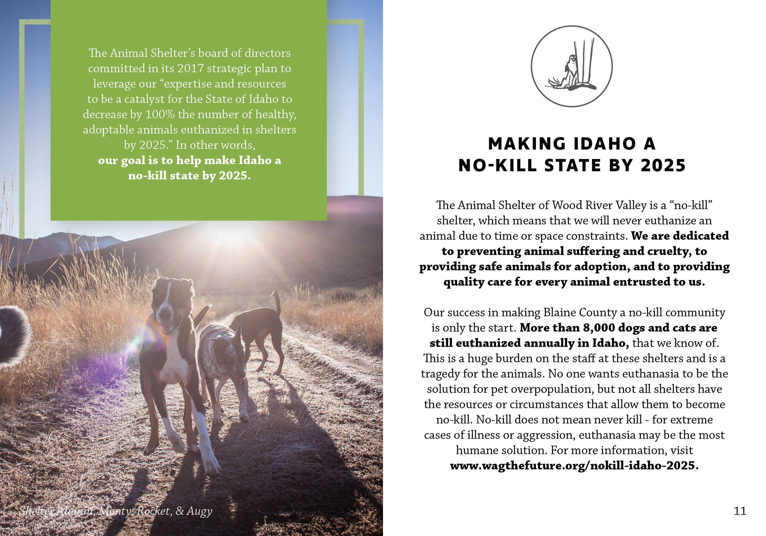 Animal Shelter "Mini" Case Statement