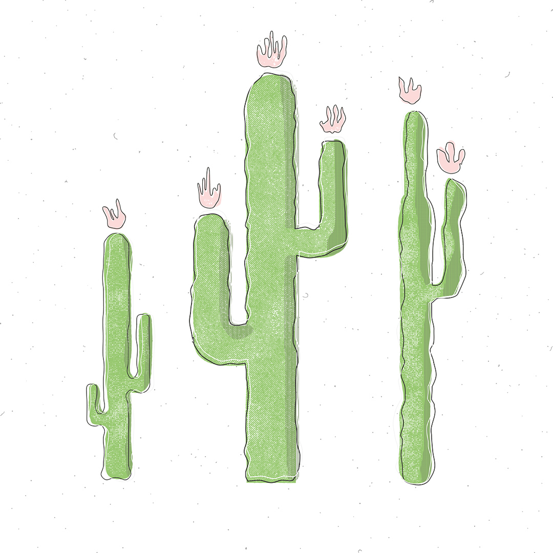 Cactus2.jpg