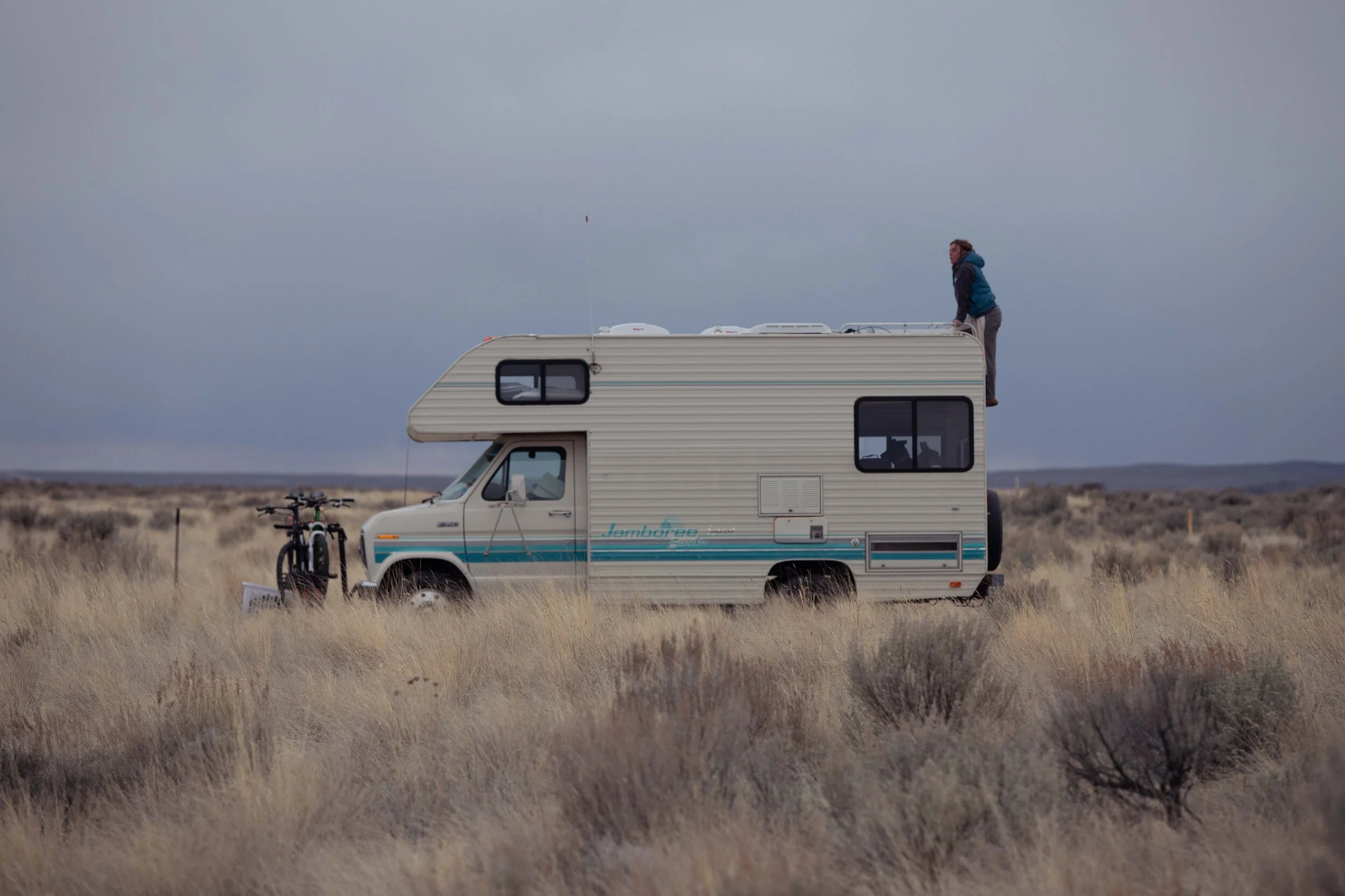 20200403 Flower Safari-14.jpg