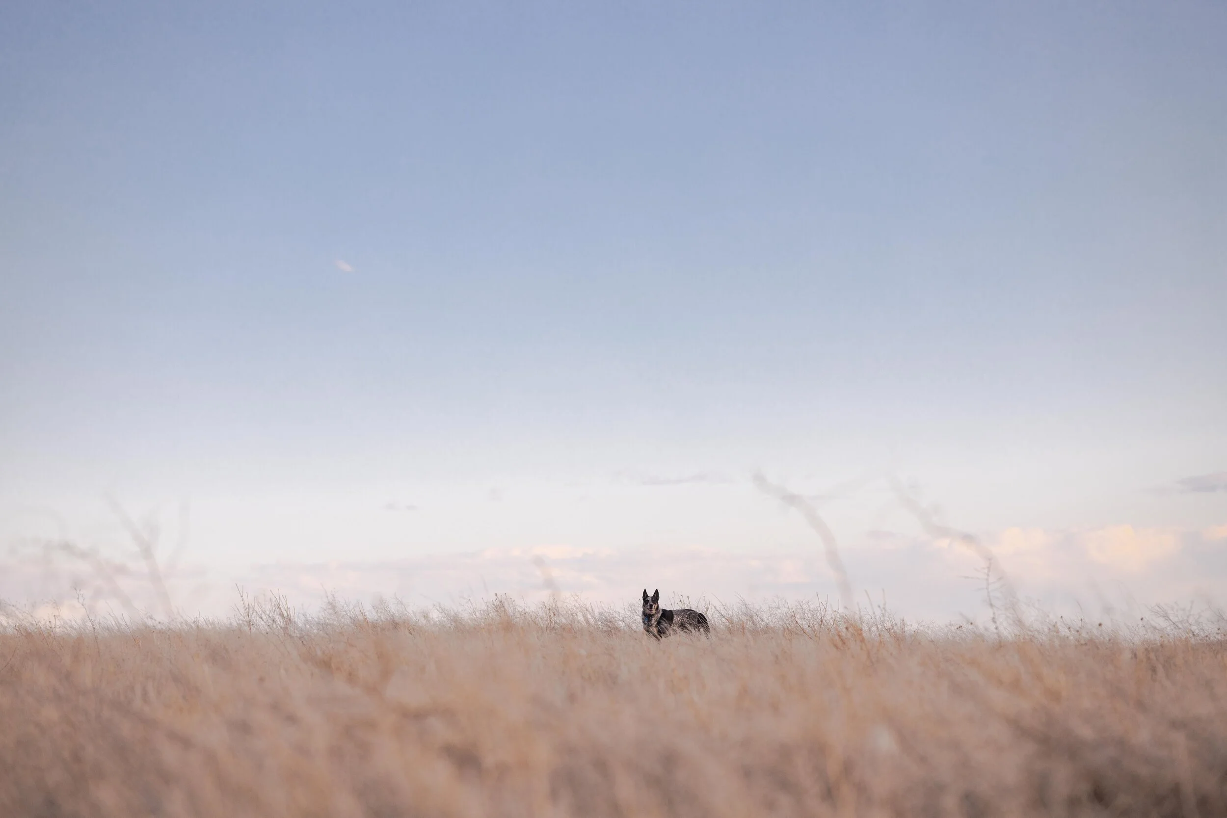 Life on the Road: April 1 - April 16