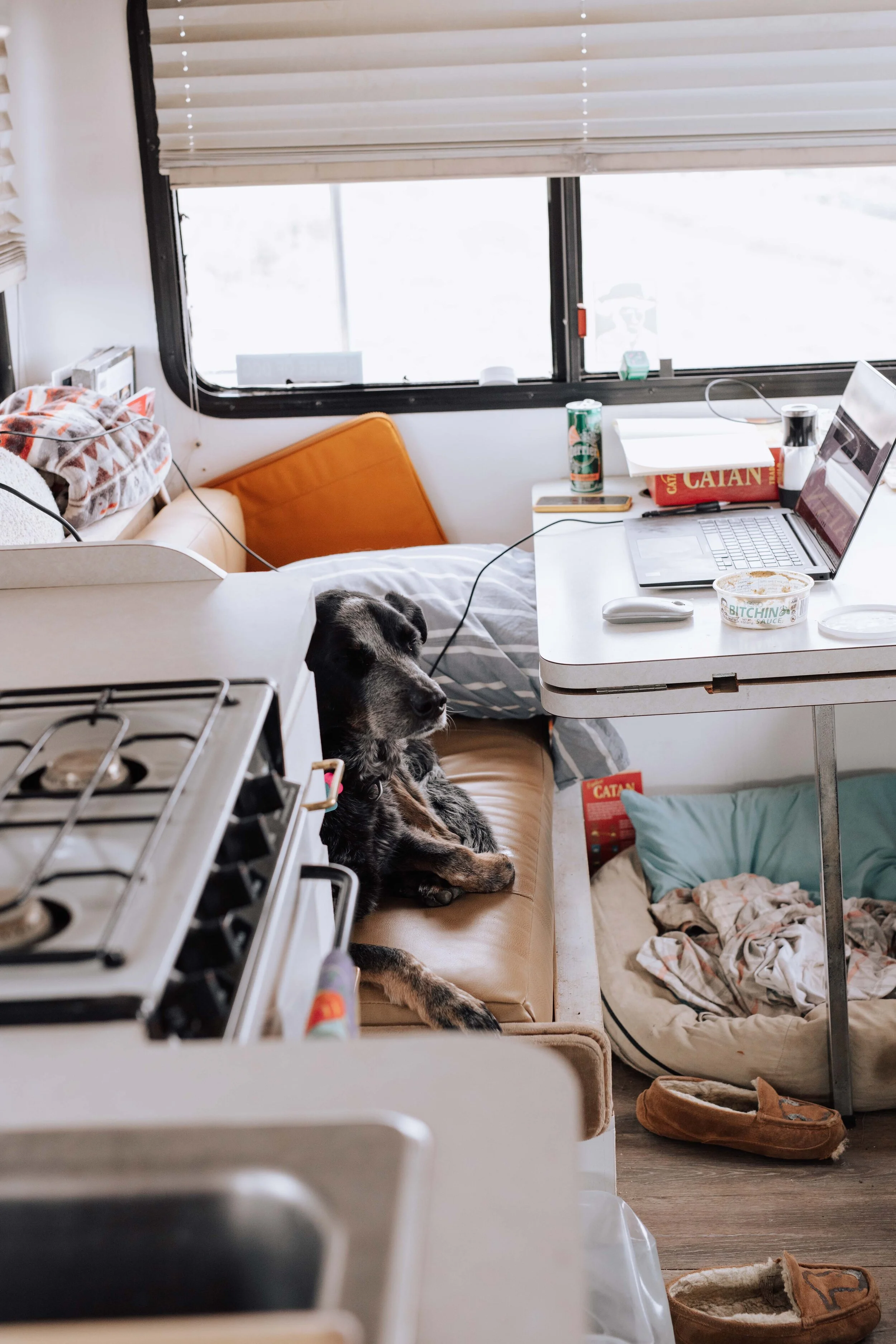 Different, but also the Same