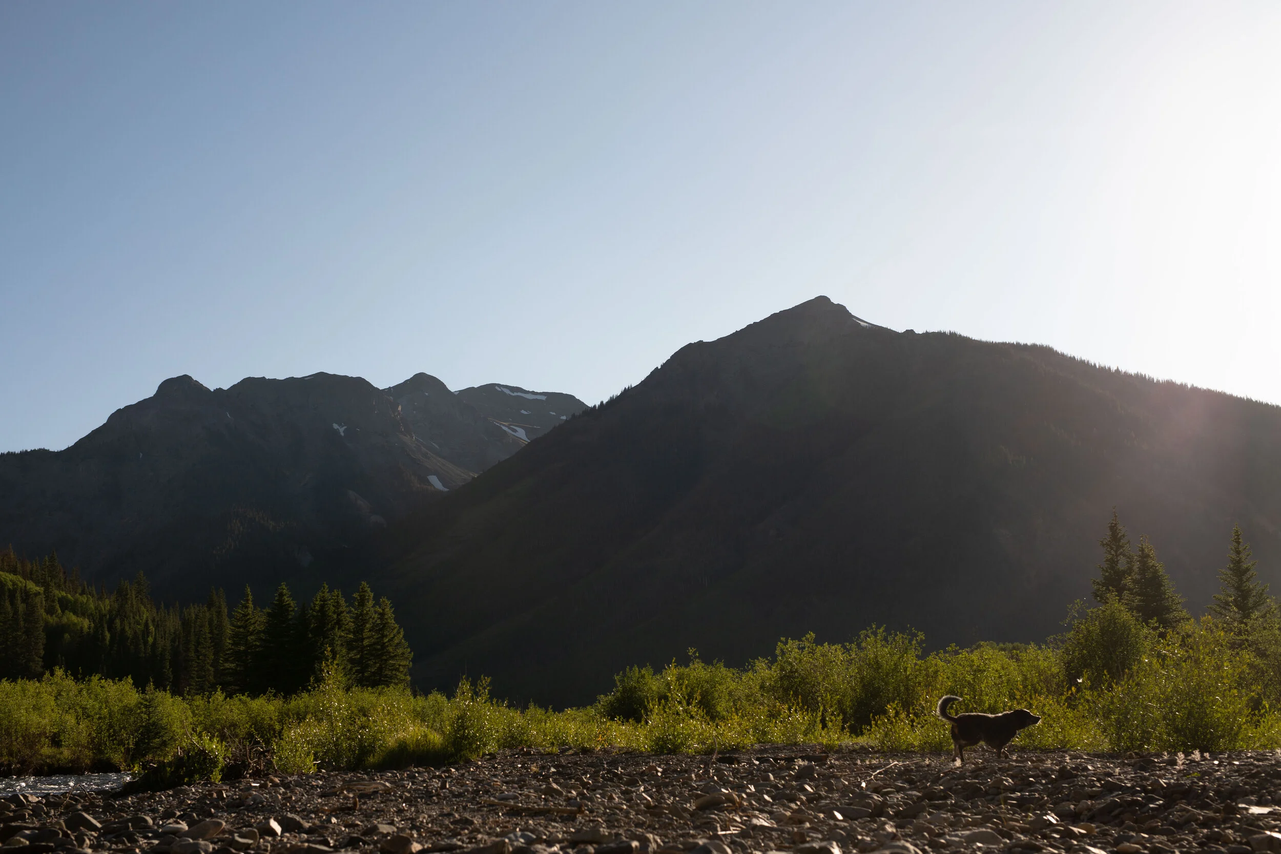 Cali playing at “Dog Beach” out Engineer Pass