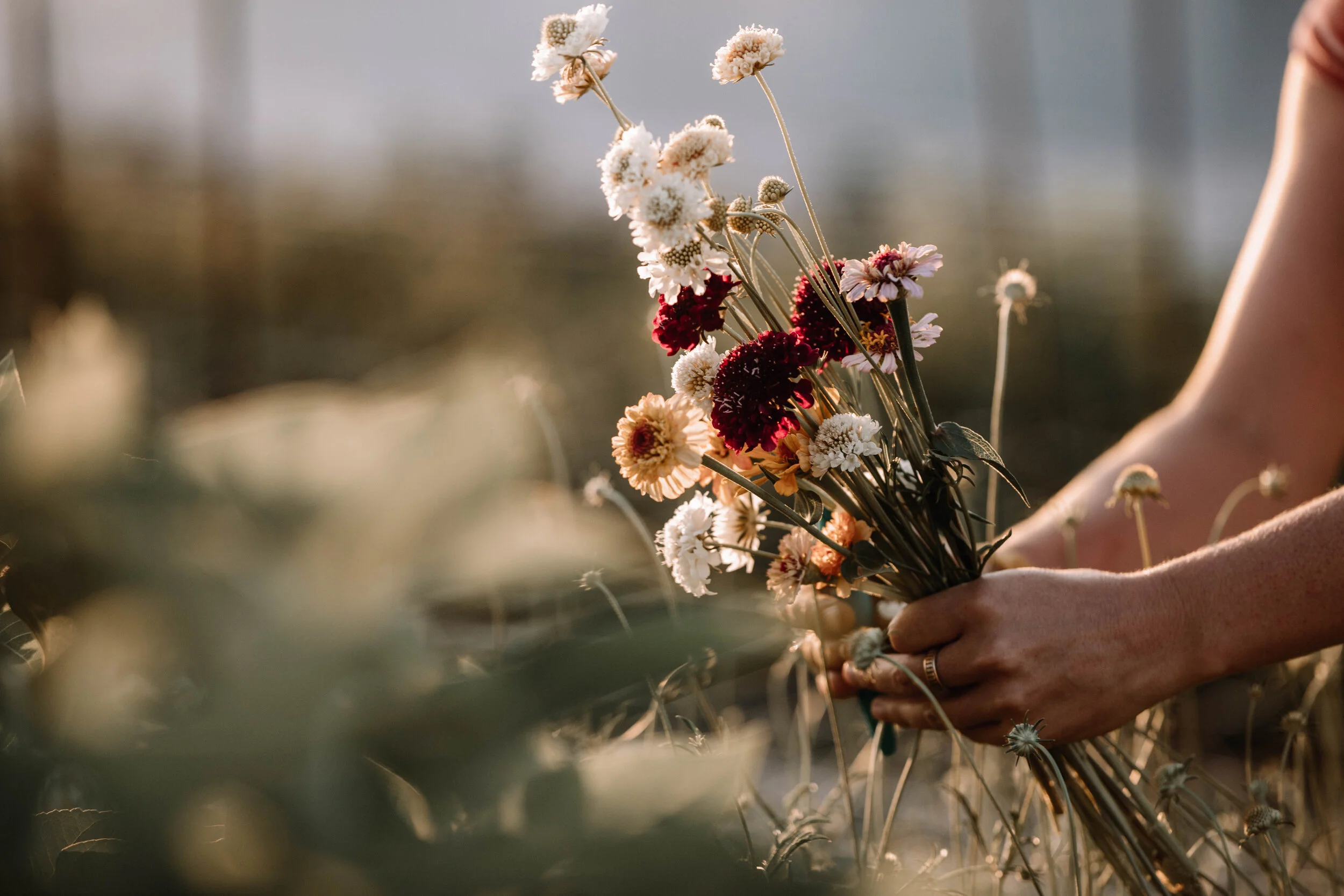 Flora Farm-9782-2.jpg