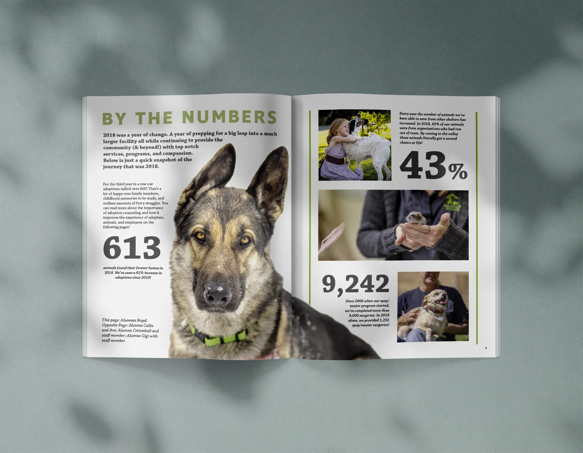 MH Annual Report.jpg