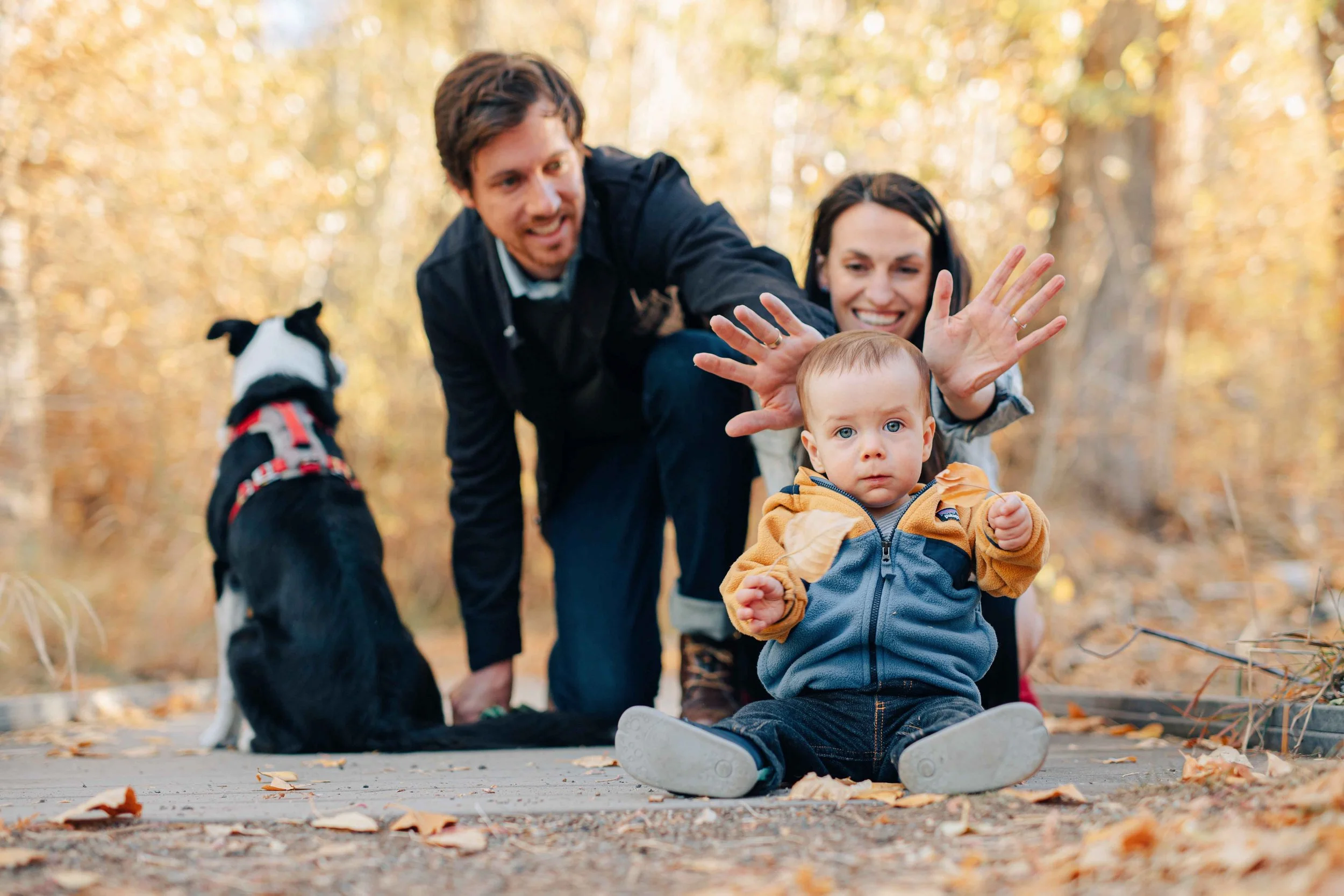 Linnets SM-3740-3.jpg