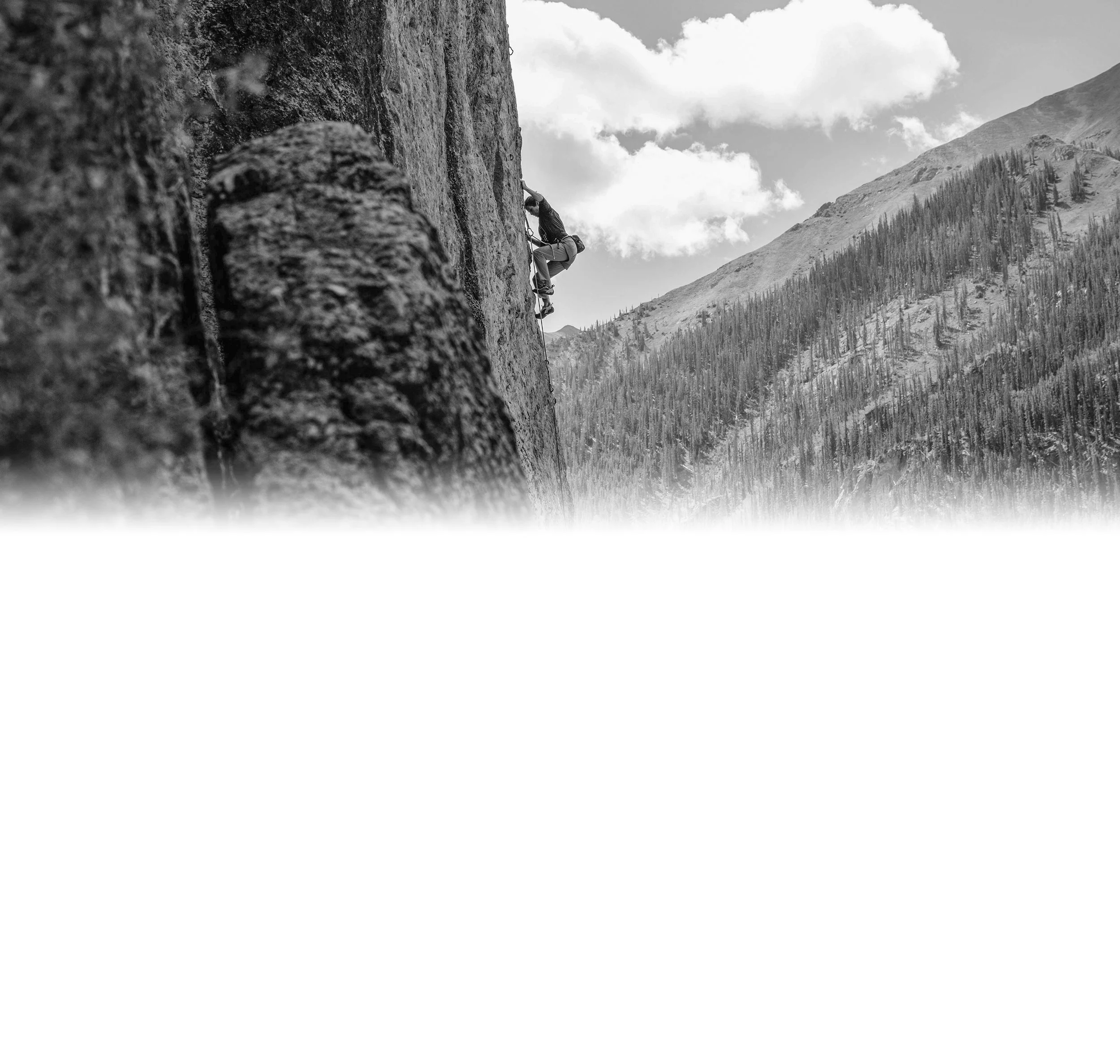 Top Image to Bottom Fade_HOME.jpg