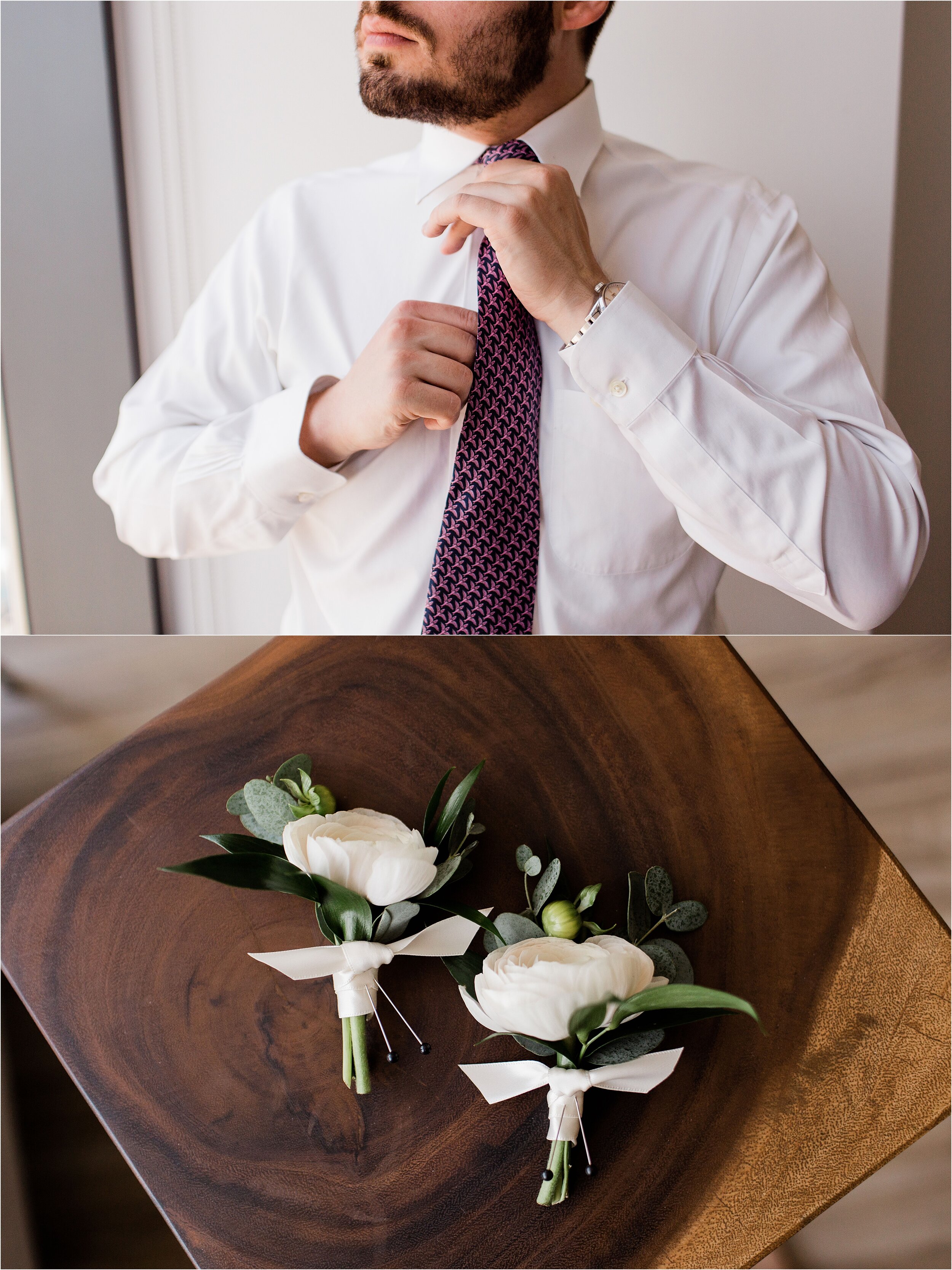 Chicago, IL Virtual Apartment Elopement