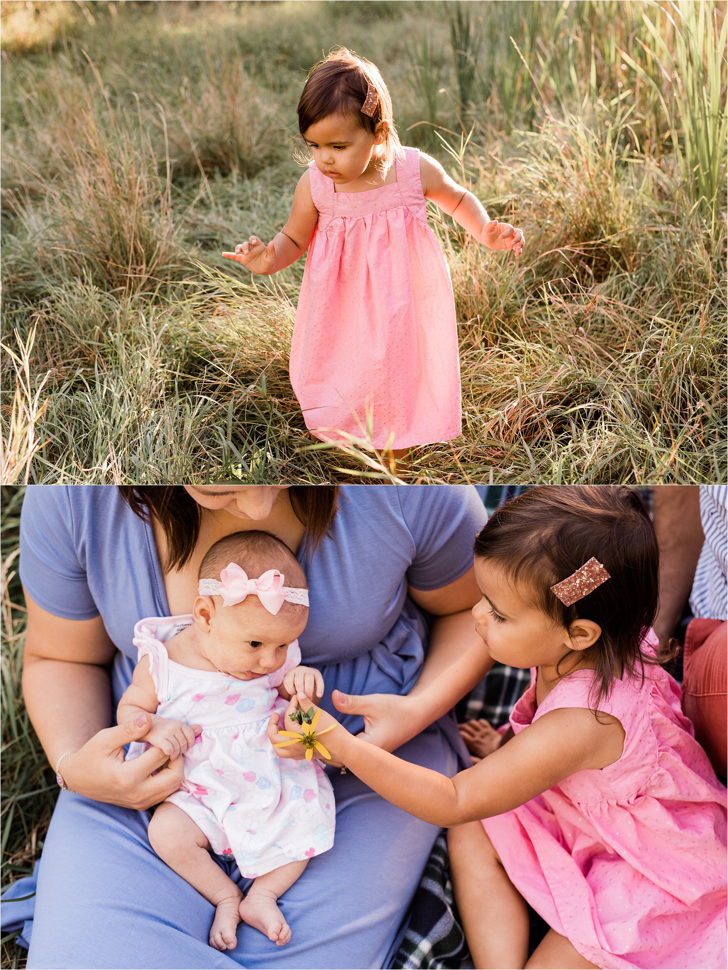 Chicago family photographer