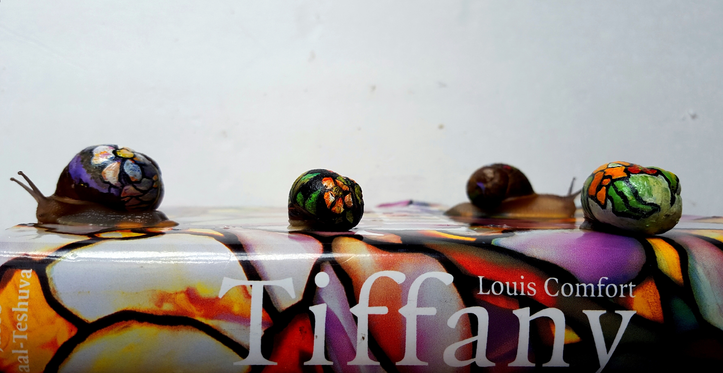 TifFAUXny Snails